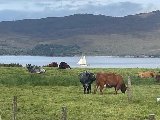 Plockton, Camus Fearn Barn Villa ภายนอก รูปภาพ